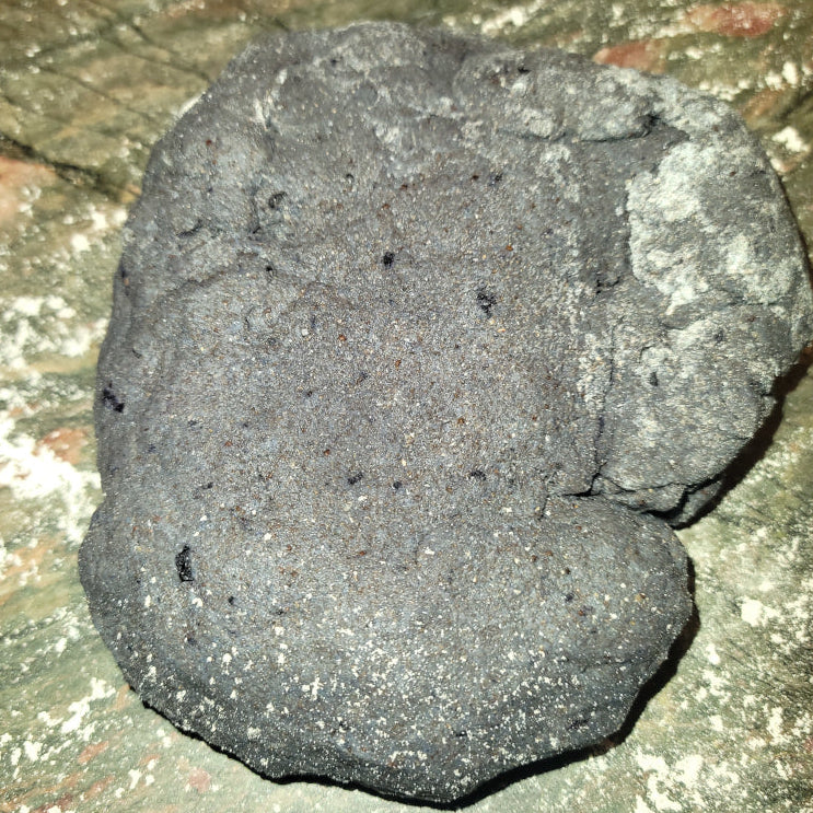 Wild Maine Blueberry & Beef Liver Dog Treats - Image #3