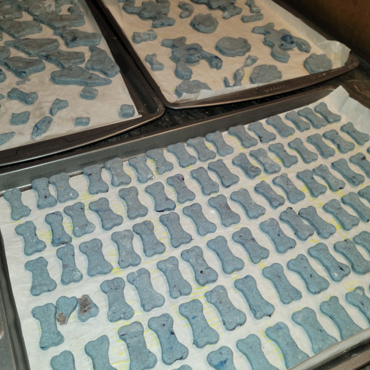 Wild Maine Blueberry & Beef Liver Dog Treats - Image #4