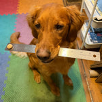 Pork & Maine Apple Dog Treats - Thumbnail #5