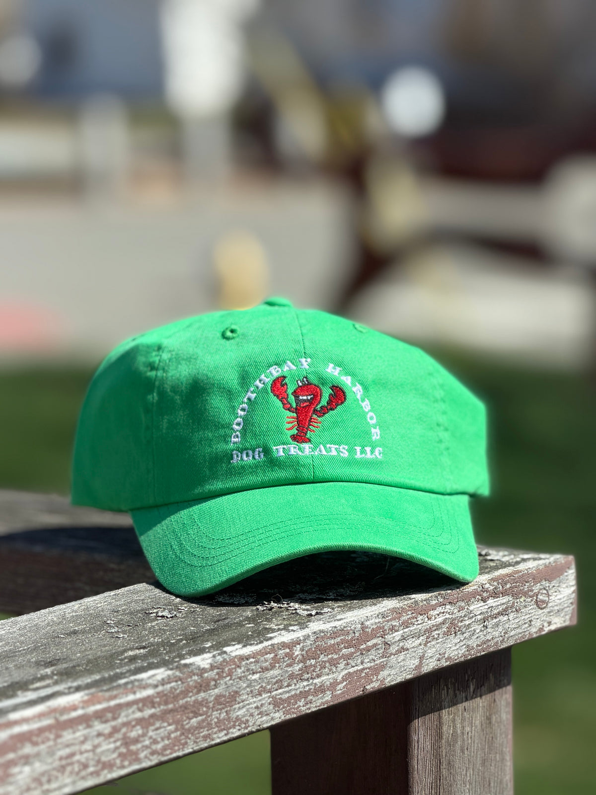 Green Boothbay Harbor Dog Treats Hat