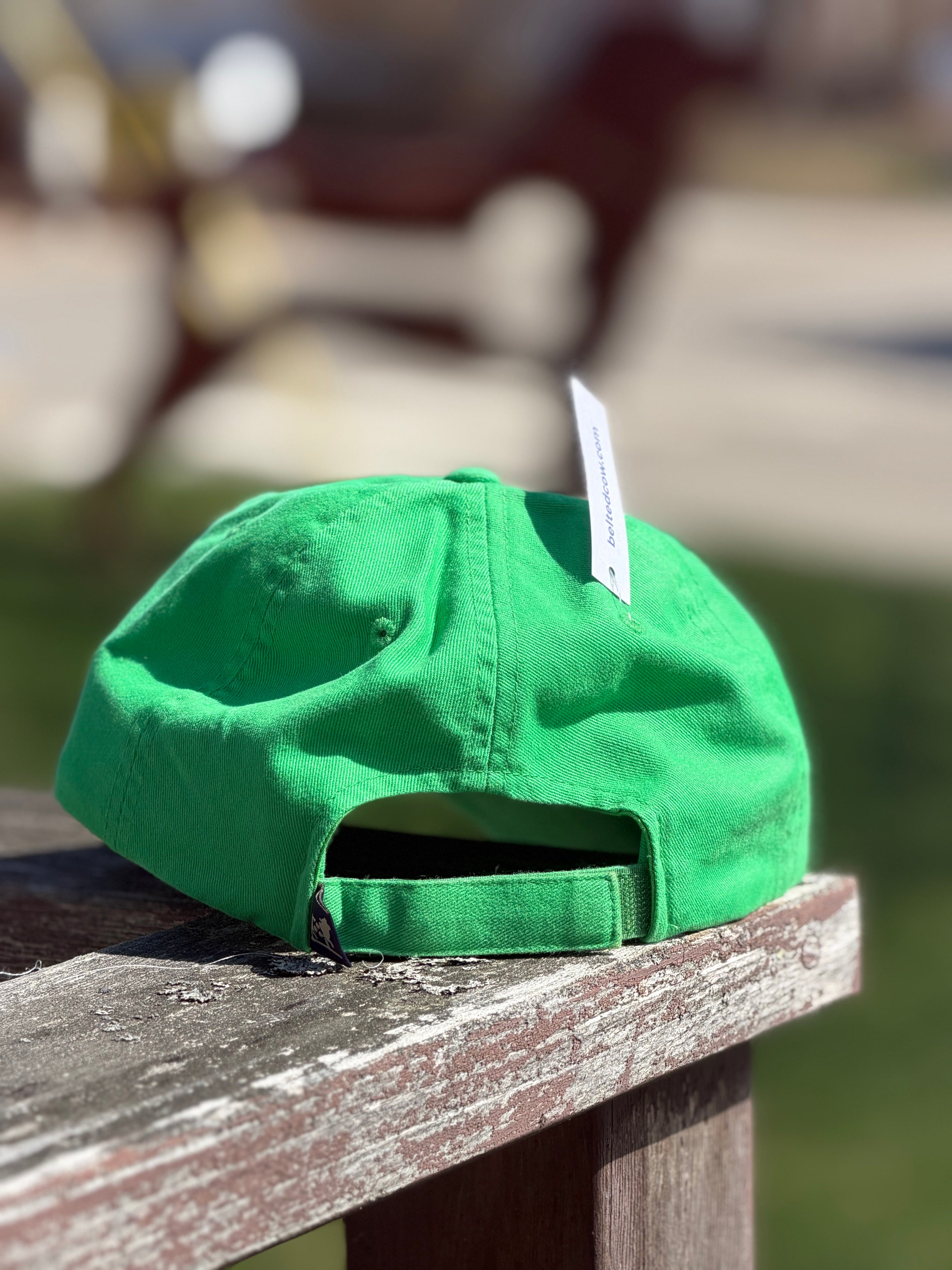 Baseball Hat - Image #6