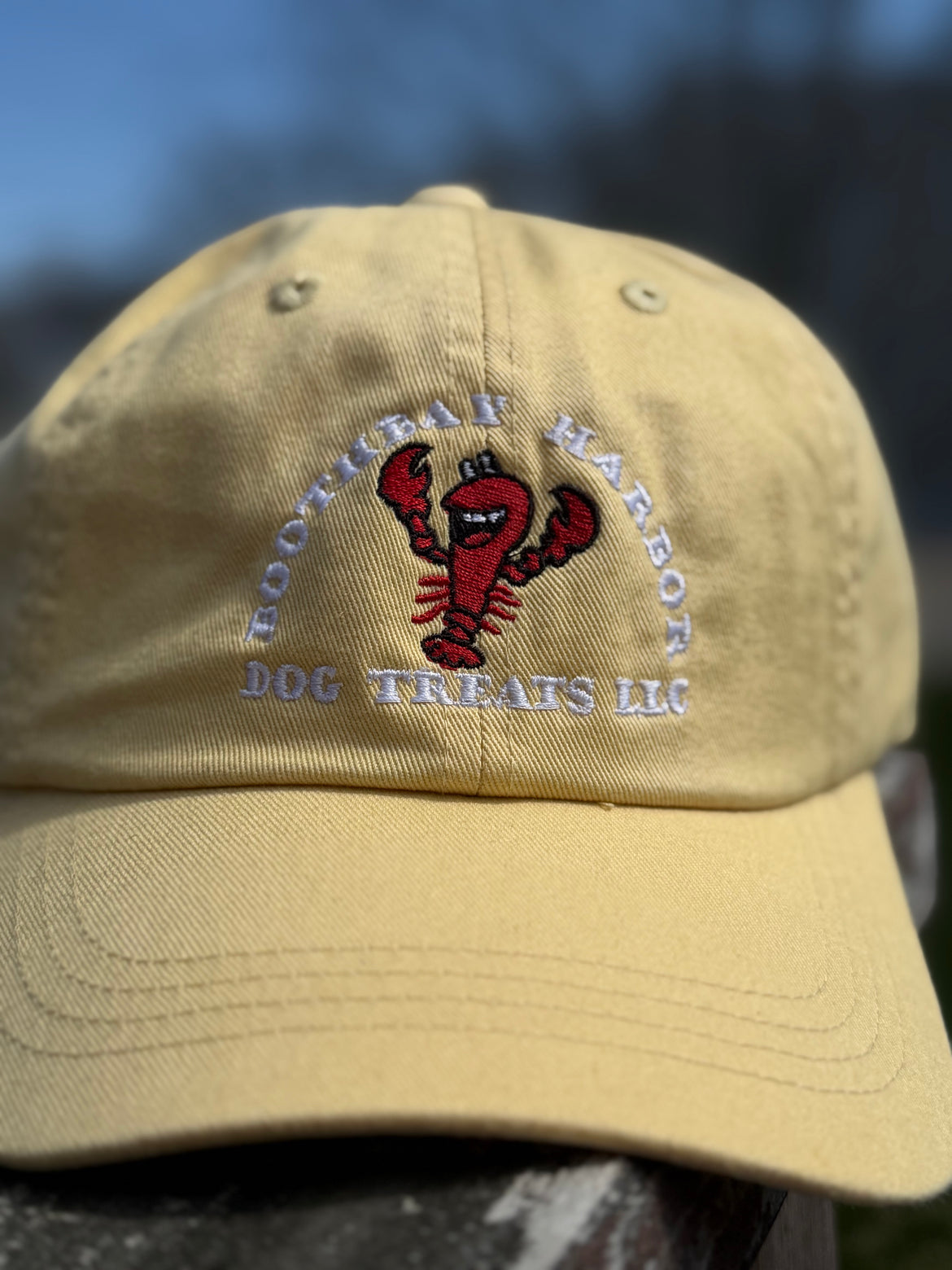 Baseball Hat