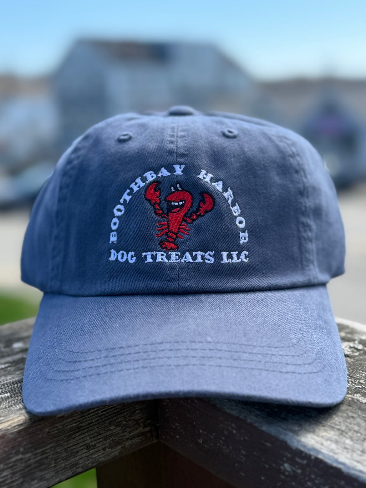 Washed Navy Boothbay Harbor Dog Treats Hat
